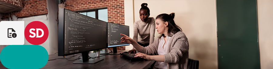 sitting in front of the computer screen and explaining to her friend, how to launch your IT Career